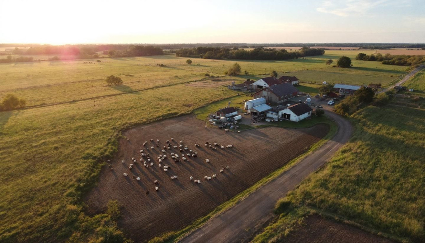 Comment l'évolution du marché impacte-t-il les tarifs de fermage ?